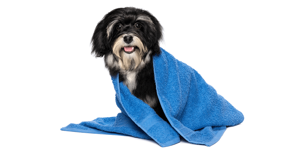 Adportal Self Service Advertising